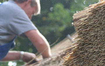 professional Aston Rogers thatchers