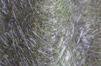 Aston Rogers fibreglass roof work